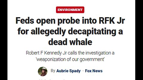 BOBBY KENNEDY IT'S ELECTION INTERFERENCE - NOAA INVESTIGATES HIM FOR CUTTING OFF DEAD WHALE HEAD