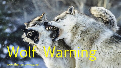 Wolf Warning