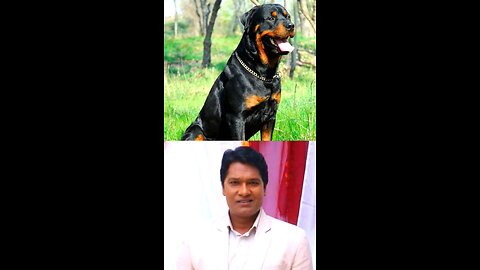 top 10 cid officer and there pet