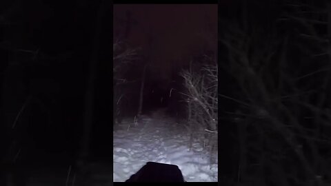 Strange noises in the WOODS- CREEPY #creepy #witch #bigfoot