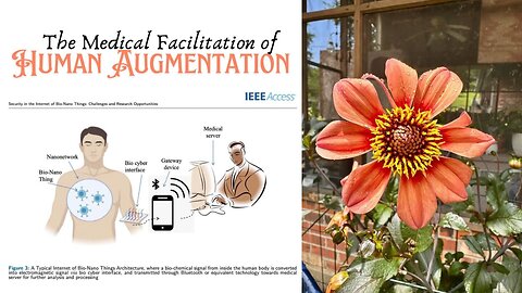 Medical Facilitation of Human Augmentation 3/4