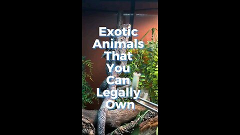 Exotic Animals you can now LEGALLY own