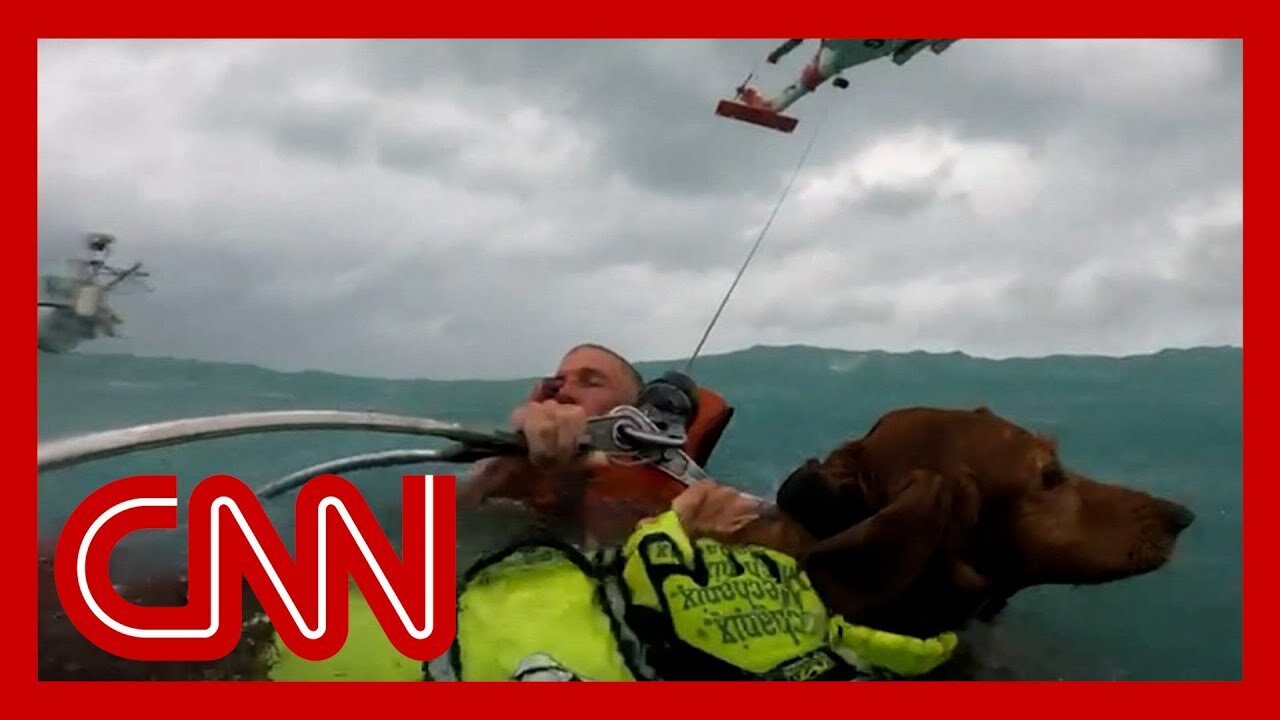 Helmet cam video shows dramatic rescue of dog and man during Hurricane