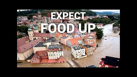 Floods Wipe Out Central Europe's Grain a Food Price Surge Is Next