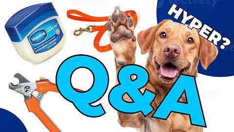 The Dog Ate WHAT…? 👀 Clipping Your Dog’s Nails, Dog Too Hyper, Leash Socialization — 023: Q&A