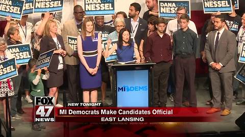 Michigan Democrats make official their slate of candidates