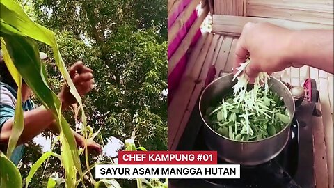 CHEF KAMPUNG Eps. 01: Cooking Forest Mango Sour Vegetable