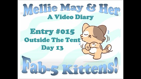 Video Diary Entry 015: A Foreign Land Outside The Tent - Day 13