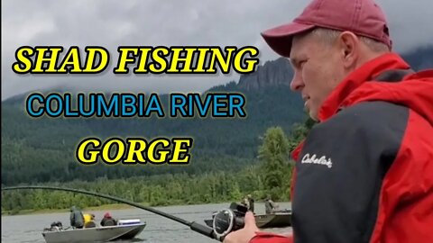 Shad fishing at Beacon Rock State Park (The Columbia River Gorge)🇺🇲