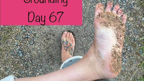 Grounding Day 67 - quiet steps and deer