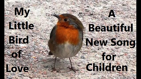 My Little Bird of Love (A Beautiful New Song for Children)