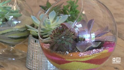 Jade & Clover: a unique shop with a DIY terrarium bar in Phoenix