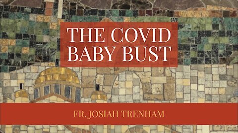 The COVID Baby Bust