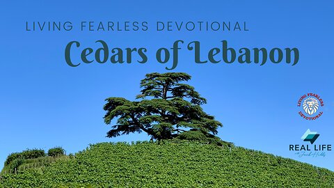 Cedars of Lebanon