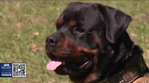 Dog donation after K-9 search and rescue