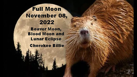 Full Moon November 08, 2022