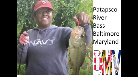 Snakehead hunting in the Patapsco turns up some nice bass. #bassfishing #marylandfishing