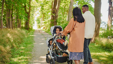 Vista V2 Stroller - Gregory (Blue Melange/Silver/Saddle Leather)