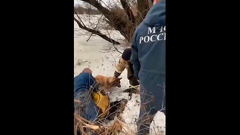 Dog rescued from frozen lake.