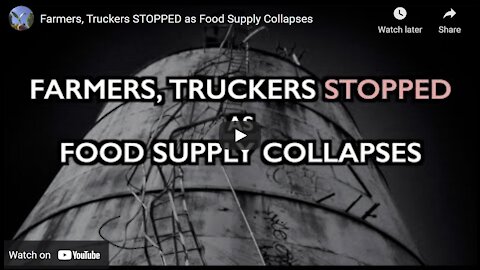 Truckers, Farmers, Food Shortages Coming - By Ice Age Farmer