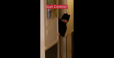 GUN CONTROL? (Sound On)