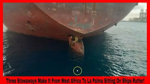 Three Stowaways Make It From West Africa To La Palma Sitting On Ships Rutter!