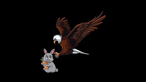 Eagle 🦅 catching the rabbit 🐰🐰🐰