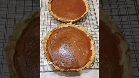 Pie time! #foodie #einsteinsbackyard #short #shortsfeed #pumpkinpie #pecanpie #shorts #shortvideo