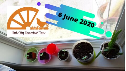 Homestead Tour - 6 June 2020