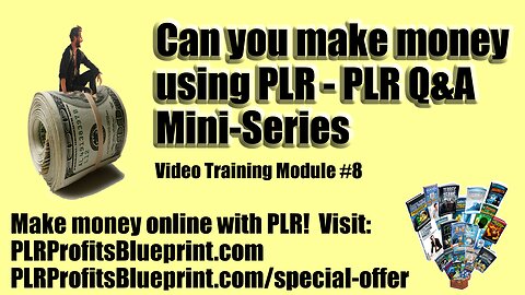 Video Training Module 8: Can you make money using PLR?