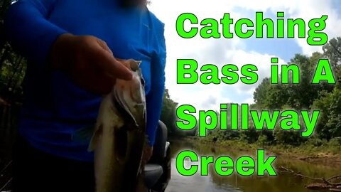 Fishing Spillway Creek