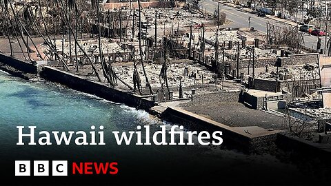 Maui fire death toll rises to at least 99 – BBC News