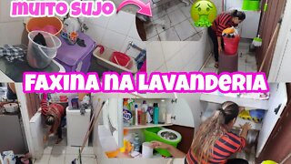 FAXINÃO NA LAVANDERIA // TAVA MUITO SUJO🤮 ORGANIZEI OS PRODUTOS DE LIMPEZA // CANAL DA MILI