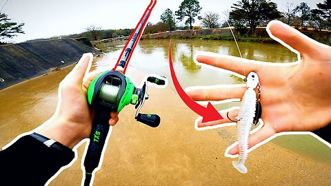 Flooded Creek Bass CRUSH This Lure!!!