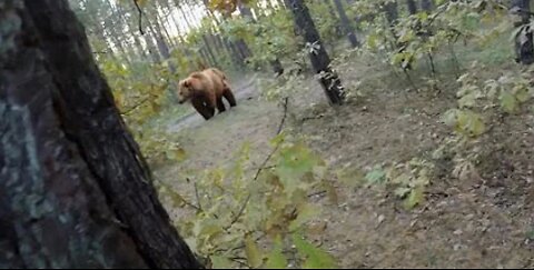 Bear Attack, Man is trying to run away from attacking Bear: GoPro