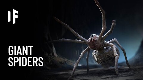 What If Spiders Were the Size of Humans?