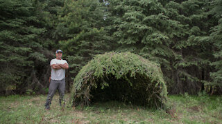 Primitive Bushcraft Survival Shelter - Bender - Full Build