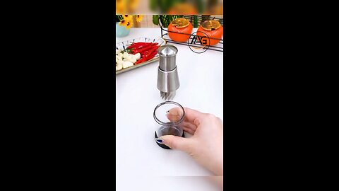 Fullstar Onion Chopper Hand Chopper for Vegetables