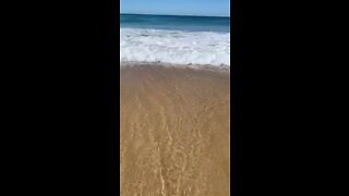 The beautiful Ocean - Surfers Paradise