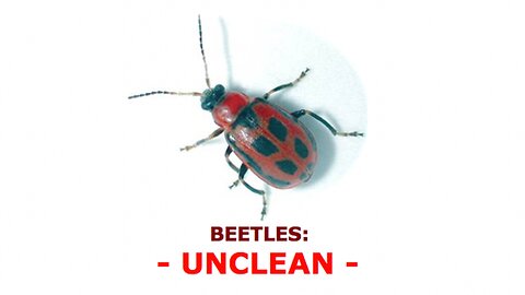 BEETLES: UNCLEAN