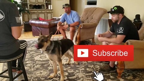 Dog Trainer / Dog Training VLOG. Ridgeside K9, LLC - Daily Activity, Behind The Scenes