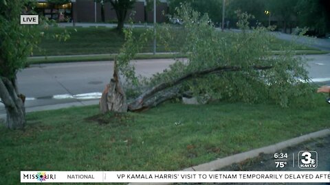 Overnight storms cause tree damage, power outages