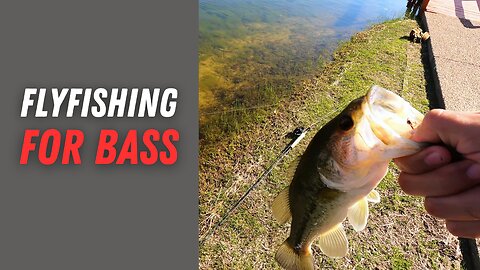 FlyFishing FOR BASS