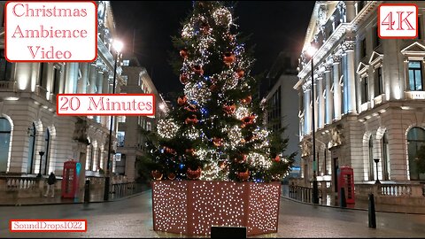 20 Minutes of Sparkling Lights | Christmas Tree Ambiance