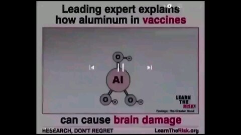 Leading expert explain how aluminum in vaccine can cause brain damage.