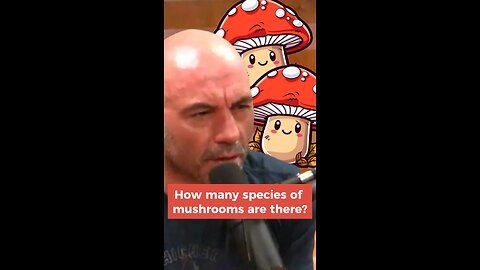 Joe Rogan : We are FUNGI😵 #joerogan #mushroom