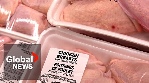 As US sees record chicken prices, economists say Canada's unlikely to be hit