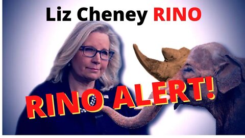 Desperate Liz Cheney Begs Wyoming Democrats