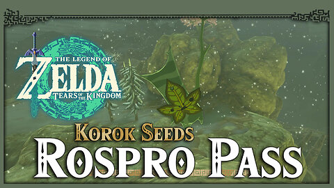 Rospro Pass Korok Seeds • Zelda Tears of the Kingdom TOTK