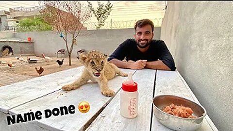 Aj Lion Cub ka Name Rkh Diya😍